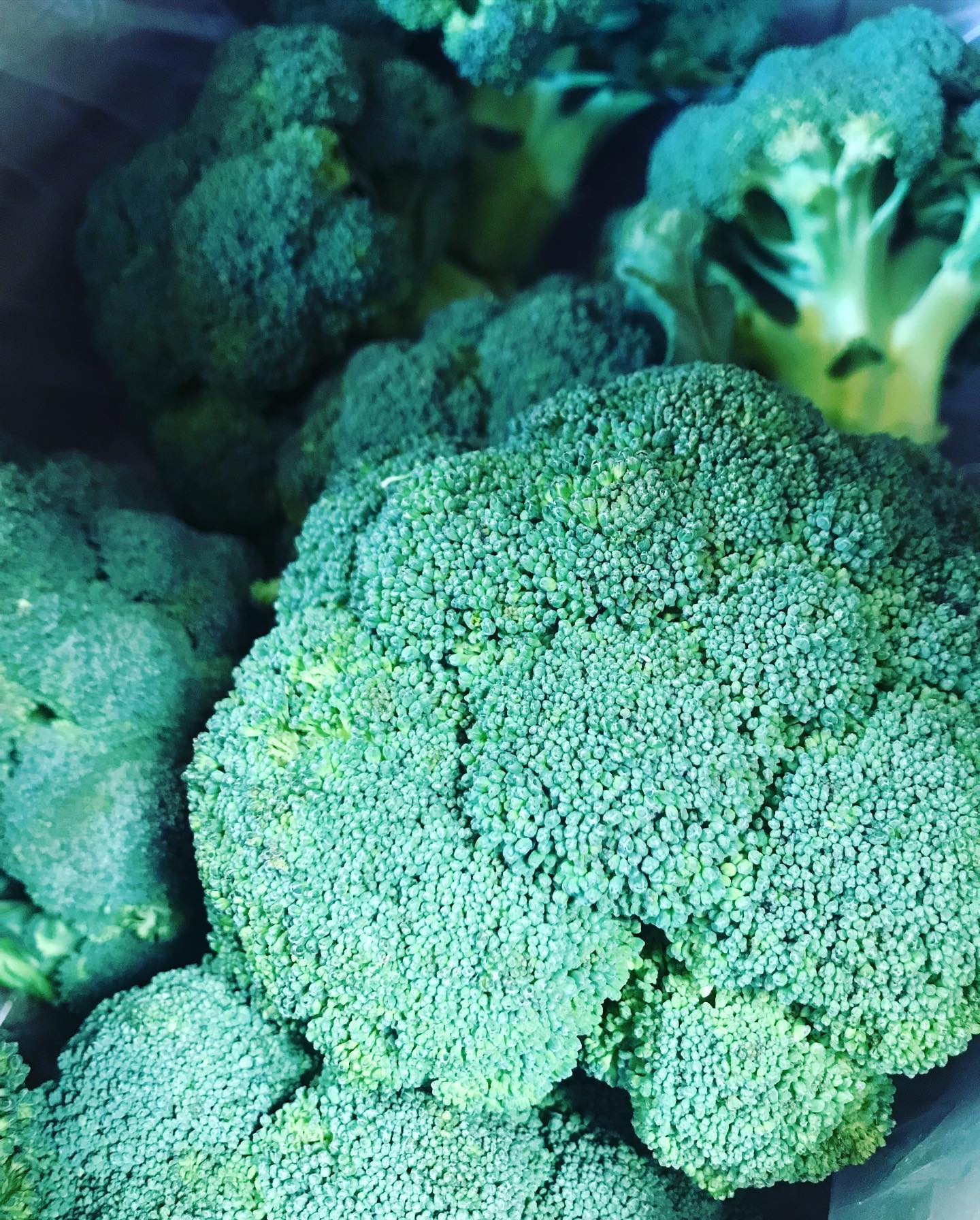 Le plein de chouchou cette semaine! Dans notre épicerie cette semaine : brocolis, chou-fleur, choux rave, chou rouge, chou blanc, chou frisé, chou chinois. Côté courge : Butternut, spaghetti, potimarron et patidou ! Côté fruit: litchi, kiwis 🥝, pomme 🍎, poires 🍐, orange 🍊, pamplemousse, avocat 🥑 #fruitsbio #legumesfrais #saisonsoupe #chou #courge