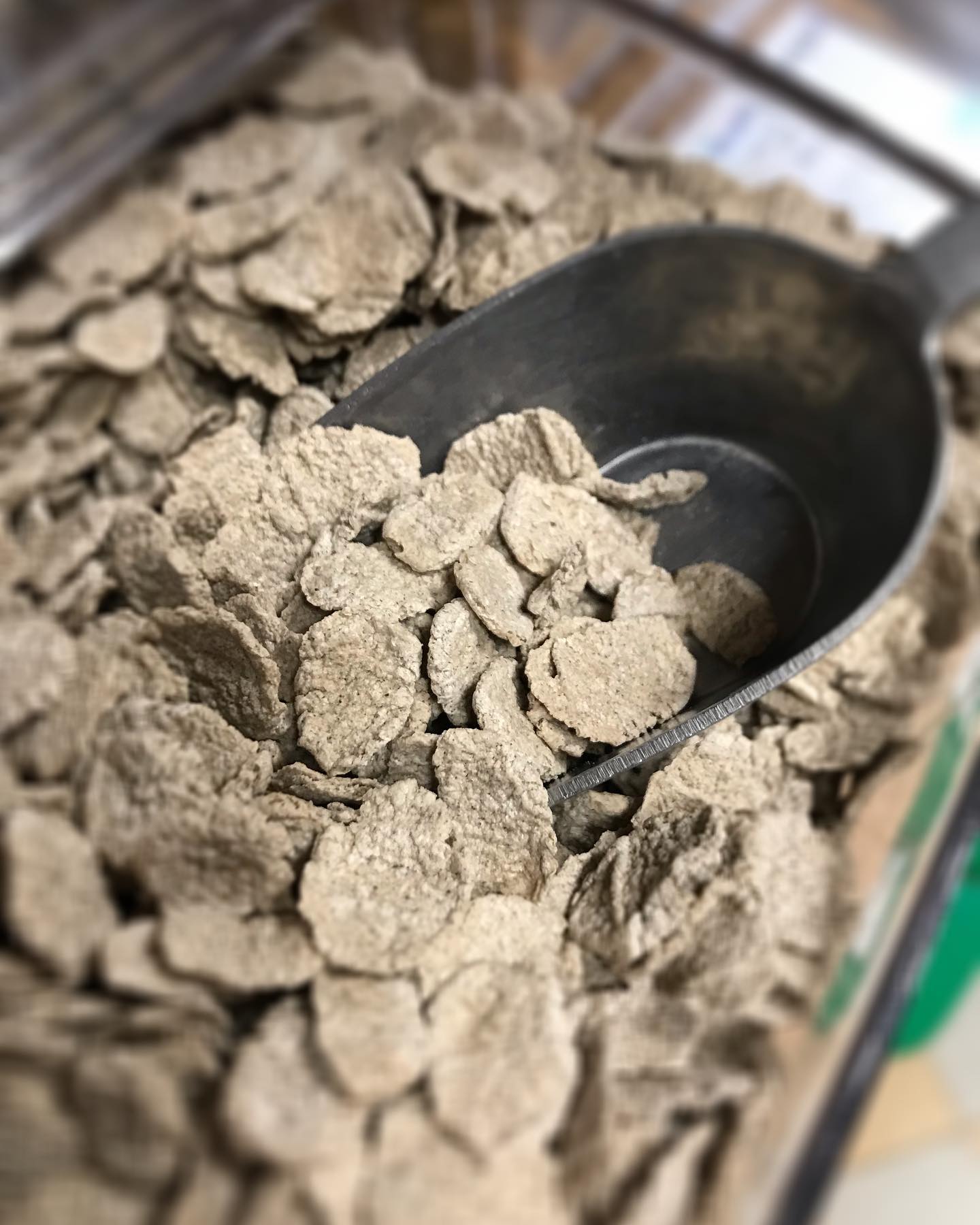 Nouveau Flocons 100% sarrasin biologique origine France. Sans sucres, ni sel joutés. Source de fibres. Fabrication française. 200g. Découvrez les Flakes 100% sarrasin de Grillon d'Or : des pétales croustillants de sarrasin bio cultivé en France, pour faire le plein de fibres et de vitalité dès le petit-déjeuner ! Vendu en vrac, évidemment. #flakes #petaledesarrasin #sarrasin #lebioenvrac