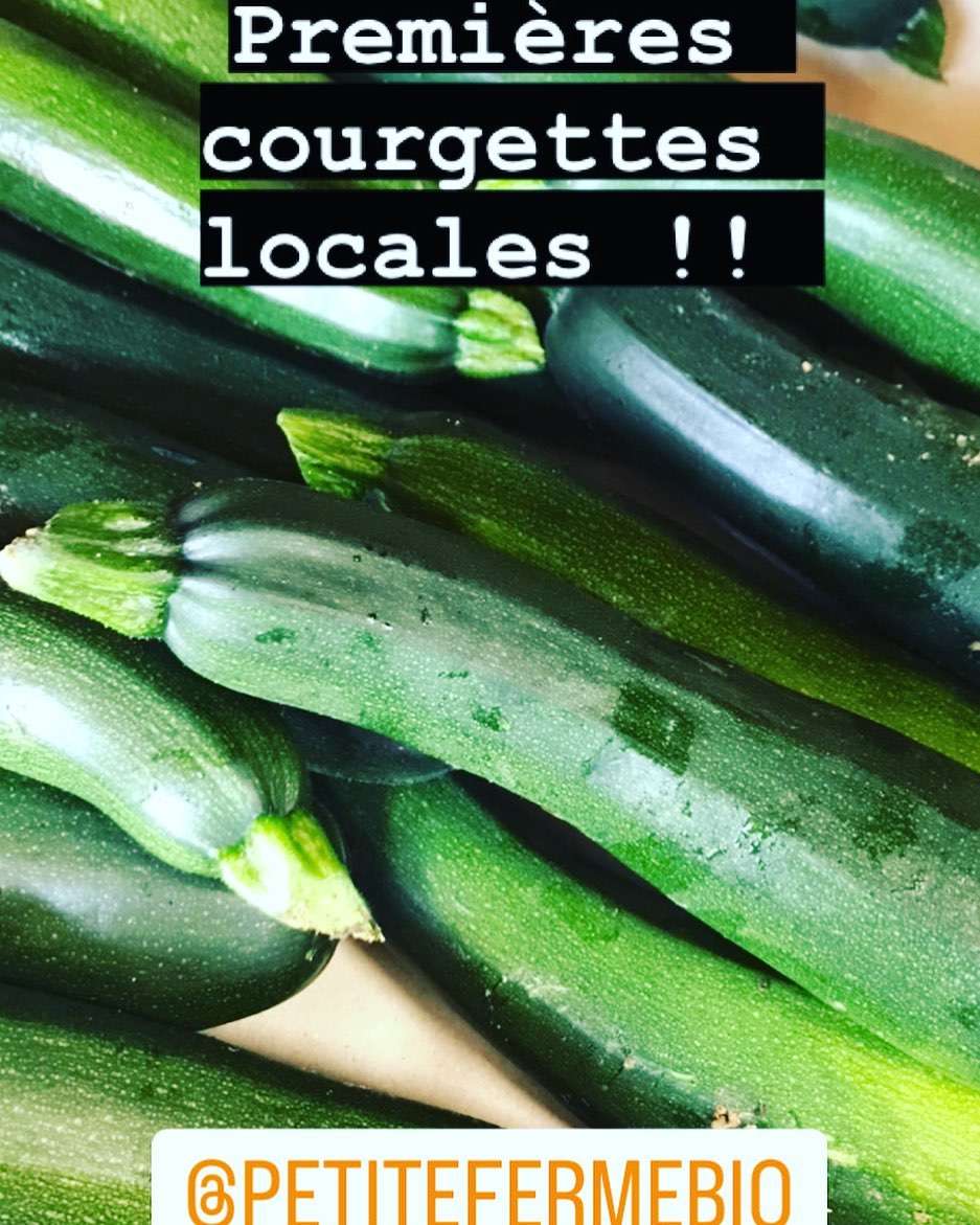 Les premières courgettes LOCALES sont arrivées ! En direct producteur DE LA PETITE FERME D’AUFFERVILLE dans le sur 77 👍🏻 délicieusement fondante, c’est petite quantité qu’on commence la saison. #courgettedansmacagette #courgette #legumebio #lebioenvrac